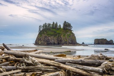 The Crying Lady Rock, iconic sea stack with driftwoods in the foreground at Second Beach, Quillayute Needles, La Push, Olympic Peninsula, Washington state Coast, USA. clipart