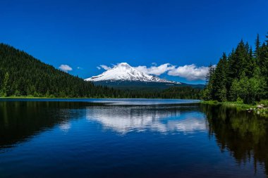 Hood Dağı, güzel ve güneşli bir günde Trillium Gölü 'ne yansıyan karla kaplı Cascade Range, Oregon Hükümet Kampı, ABD.