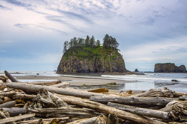 The Crying Lady Rock, iconic sea stack with driftwoods in the foreground at Second Beach, Quillayute Needles, La Push, Olympic Peninsula, Washington state Coast, USA.