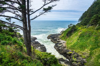 Şeytanın Tepesi, Cape Perpetua Sahne Bölgesi, Yachat, Oregon Sahili, Usa.