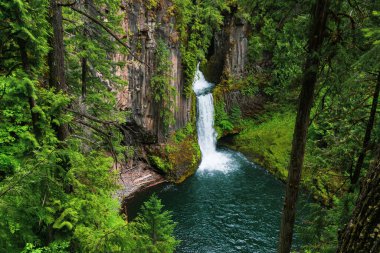 Overlooking view of the Toketee Falls in the North Umpqua National Forest, Oregon, USA. clipart