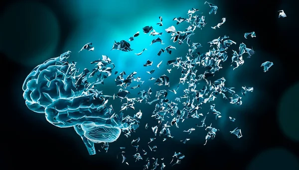 İnsan beyninin parçalanması ya da 3 boyutlu görüntülemeyi parçalaması. Hafıza bozuklukları, Parkinson veya Alzheimer gibi nörolojik hastalıklar, hafıza kaybı, psikolojik ve kişilik bozuklukları ve yaşlanma ve bunama kavramları.