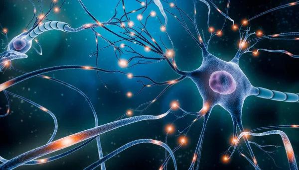神経細胞の電気的活性を有する神経ネットワーク3Dレンダリング図 神経科学 神経学 神経系およびインパルス 脳活動 微生物学の概念 アーティスト ビジョン — ストック写真