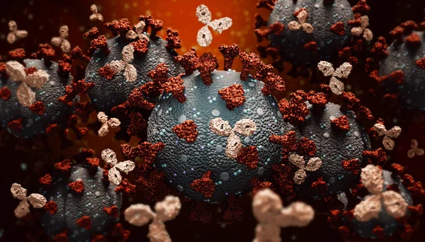 モノクローナル抗体または免疫グロブリンは コロナウイルスまたはCovid細胞のグループと戦う3Dレンダリングイラスト 免疫系 免疫療法 生物医学 生物学 医学の概念 正確な科学的レンダリングとアーティストのビジョン — ストック写真