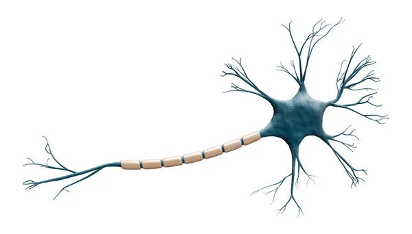 Generic Blue Neuron Cell Model Isolated White Background Copy Space — Stock Photo, Image