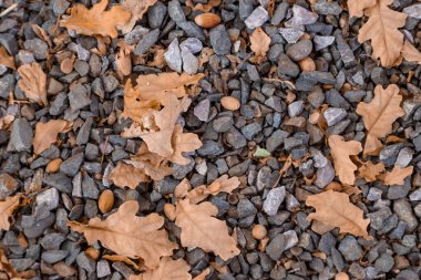 Düşen sarı ve portakal yapraklarının sonbahar arkaplanı taşların üzerinde yatıyor.