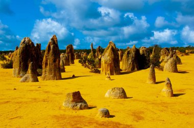 Pinnacles - Batı Avustralya