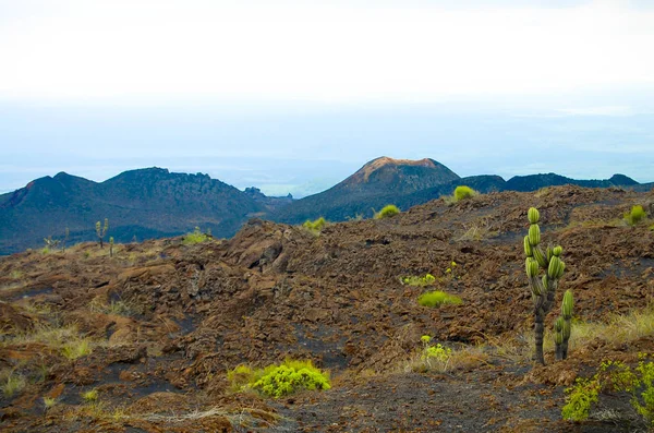 Cráter Sierra Negra Galápagos Ecuador — Foto de Stock