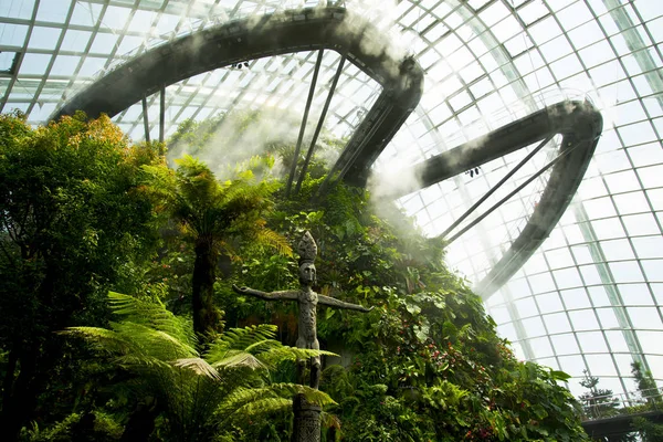 Singapur City Singapur Nisan 2019 Flower Dome Cloud Forest Gardens — Stok fotoğraf