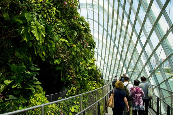 Singapur City Singapur Nisan 2019 Flower Dome Cloud Forest Gardens — Stok fotoğraf
