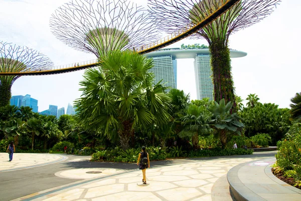 Ciudad Del Singapur Singapur Abril 2019 Skyway Turístico Ocbc Supertree — Foto de Stock
