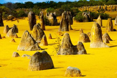 Pinnacles - Batı Avustralya