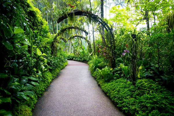Ulusal Orkide Bahçesi Singapur — Stok fotoğraf