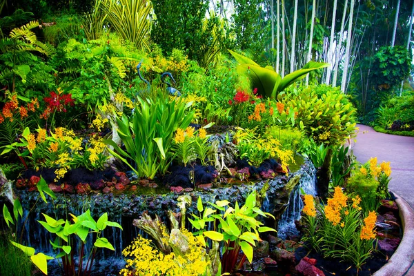Jardín Nacional Orquídeas Singapur — Foto de Stock