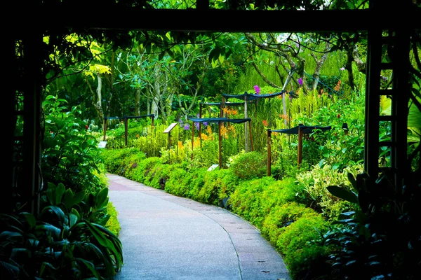 Jardín Nacional Orquídeas Singapur — Foto de Stock