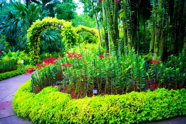 国家兰花花园 新加坡 — 图库照片