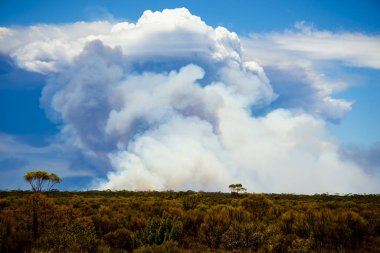 Bush Fires - Avustralya 'dan Dev Duman Plume