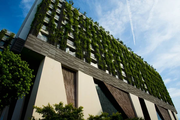 Green Eco Building City — Stock fotografie