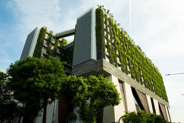 Şehirdeki Yeşil Eko Binası