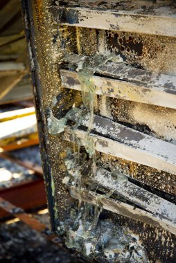 Avustralya 'da Çalı Yangını Yıkım