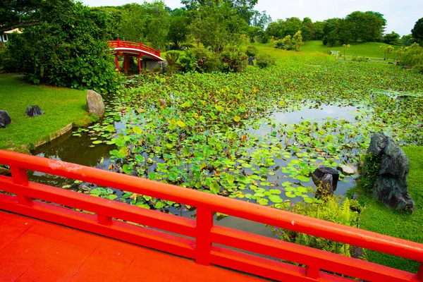 Jardín Japonés Ciudad Singapur — Foto de Stock
