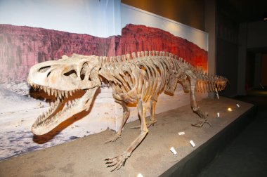 San Juan, Arjantin - 23 Nisan 2017: Ischigualasto İl Parkı 'ndaki Doğal Bilimler Müzesi' ndeki dinozorların kopyaları