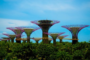 Körfez kenarındaki bahçeler - Singapur