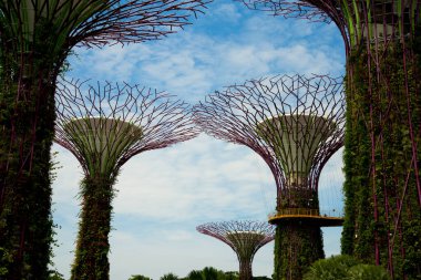 Singapur Körfezi 'ndeki Bahçelerdeki Supertree Ağaçları
