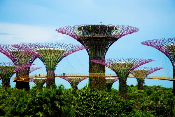 Árboles Supertree Grove Los Jardines Junto Bahía Singapur — Foto de Stock