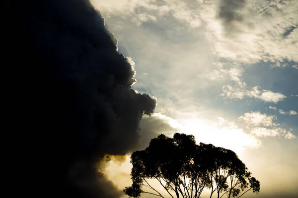 Bush Fires Smoke - Australia