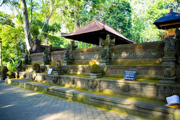 Ubud Monkey Forest Bali Indonesië — Stockfoto