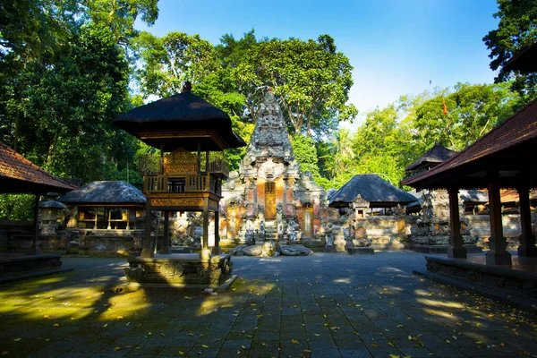 Bosque Monos Ubud Bali Indonesia —  Fotos de Stock