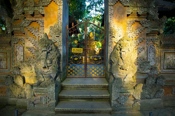Ubud Affenwald Bali Indonesien — Stockfoto