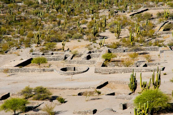 Quilmes Ruins Tucuman Argentína — Stock Fotó