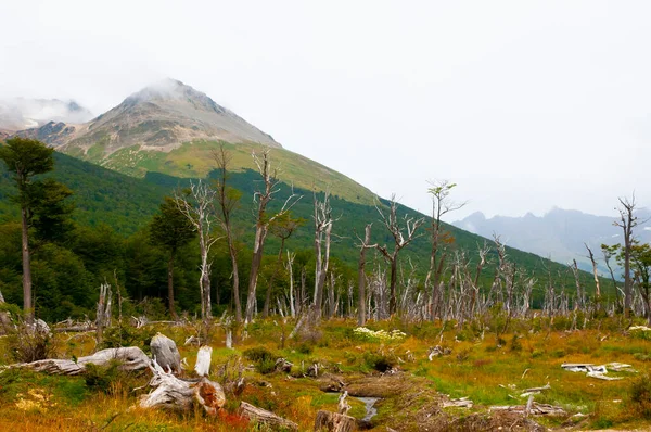 Parque Nacional Tierra Del Fuego Argentina — Fotografia de Stock