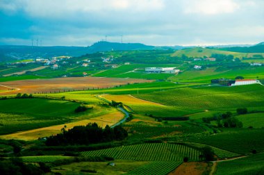 Yazın Tarım Alanları - Portekiz