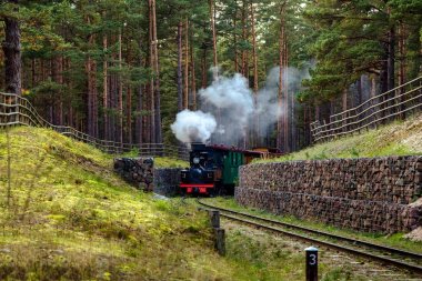 Bir dar hat demiryolu tren