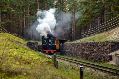 Bir dar hat demiryolu tren
