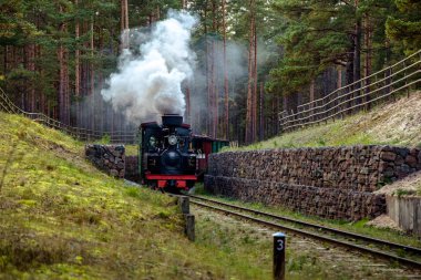 Bir dar hat demiryolu tren