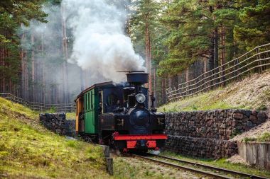 Bir dar hat demiryolu tren