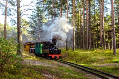 Bir dar hat demiryolu tren