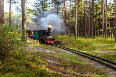 Bir dar hat demiryolu tren