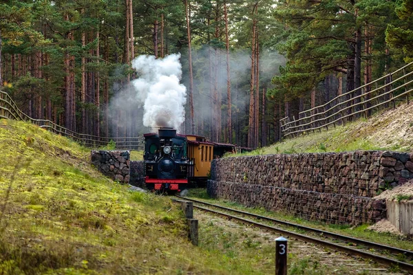 좁은 계기 철도에 기차 — 스톡 사진