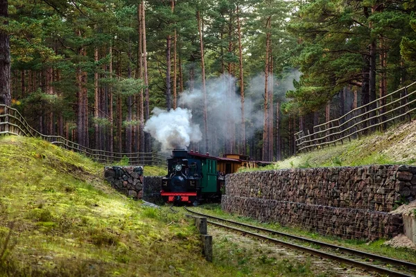 Bir dar hat demiryolu tren