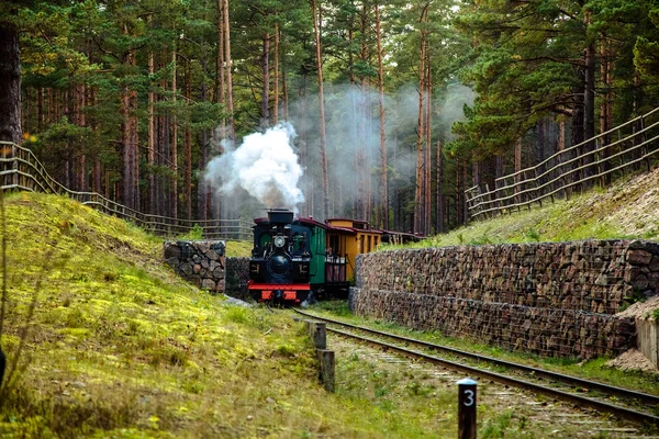 좁은 계기 철도에 기차 — 스톡 사진