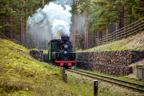 Bir dar hat demiryolu tren