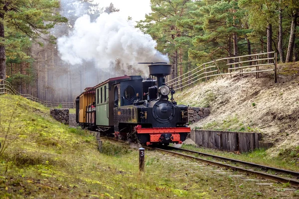 Tren en un ferrocarril de vía estrecha — Foto de Stock