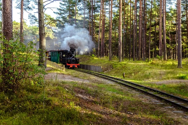 Tren en un ferrocarril de vía estrecha — Foto de Stock