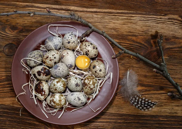 Fresh quail eggs in a plate — Stock Photo, Image