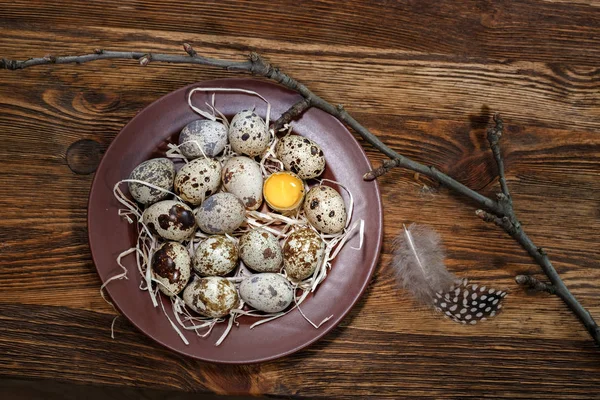 Oeufs de caille frais dans une assiette — Photo